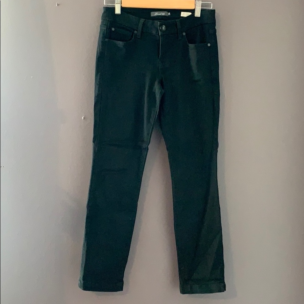 Level 99, Lily Crop, black skinny straight jeans